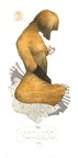 200900040164