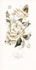 201800040266